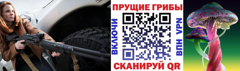 продажа наркотиков  Александровское  Галлюциногенные грибы прущие грибы 